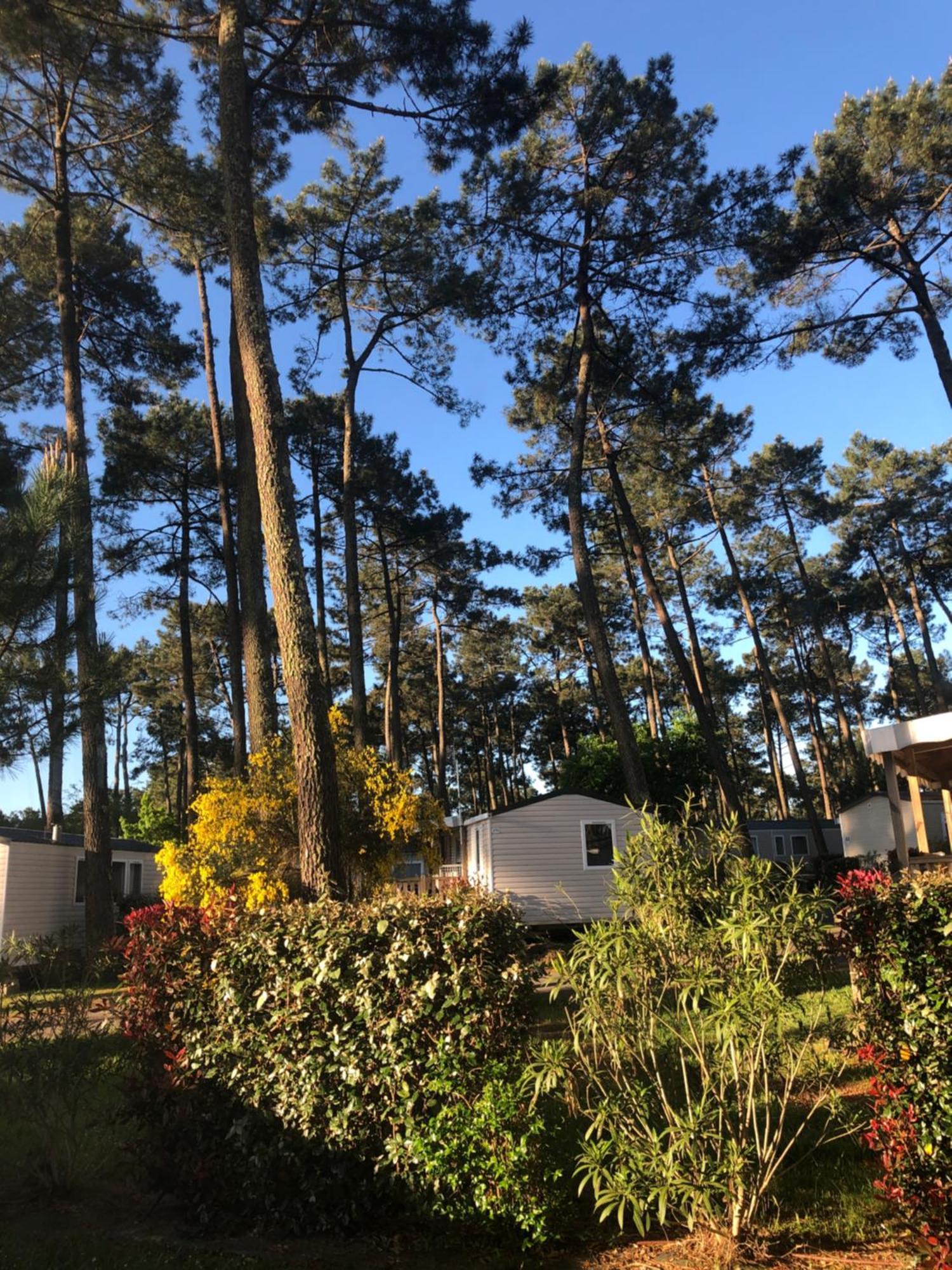 Mobile Home - Les Dunes De Contis Saint-Julien-en-Born Exterior photo